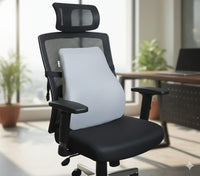 COO RIZZ Ergonomic Memory Foam Lumbar Support Cushion